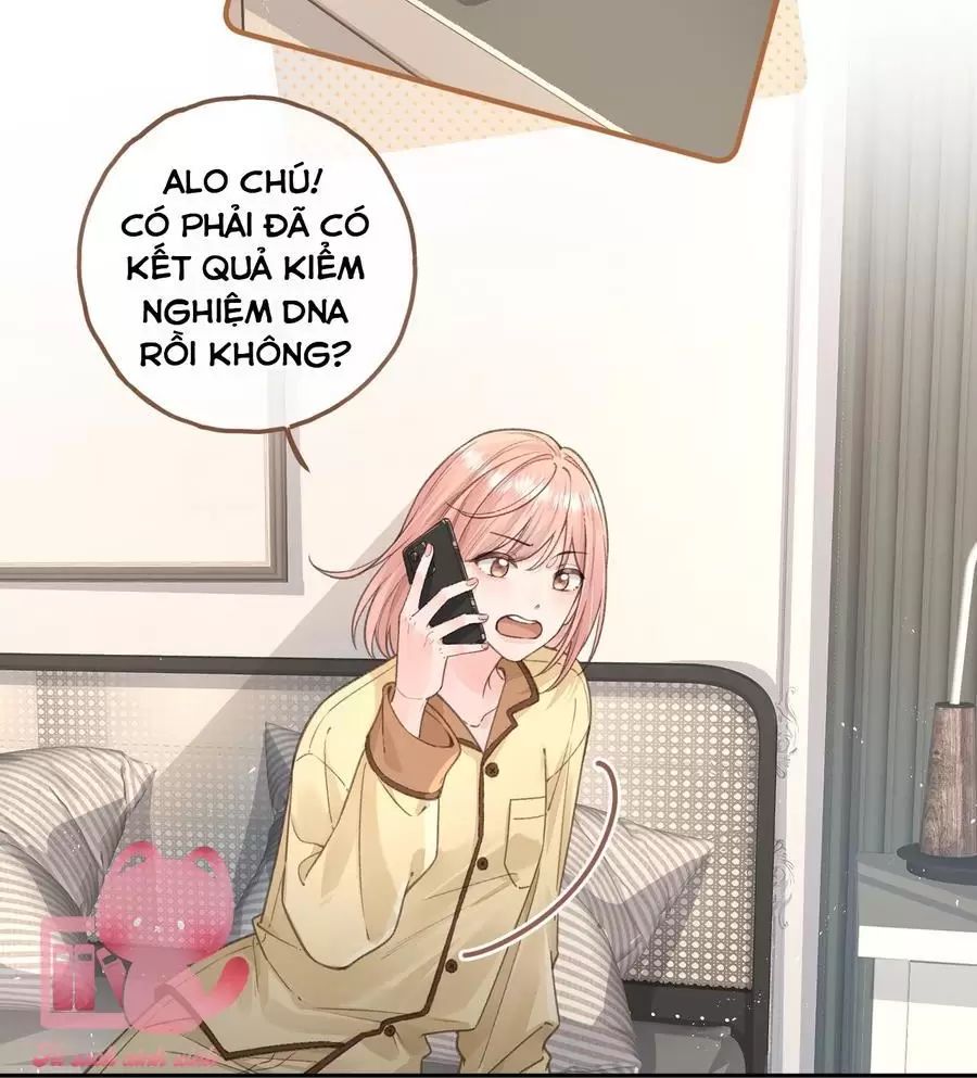 Tổng Tài Đuổi Vợ Lại Khóc Lóc Cầu Xin Vợ Quay Lại - Chapter 67 - Page 3