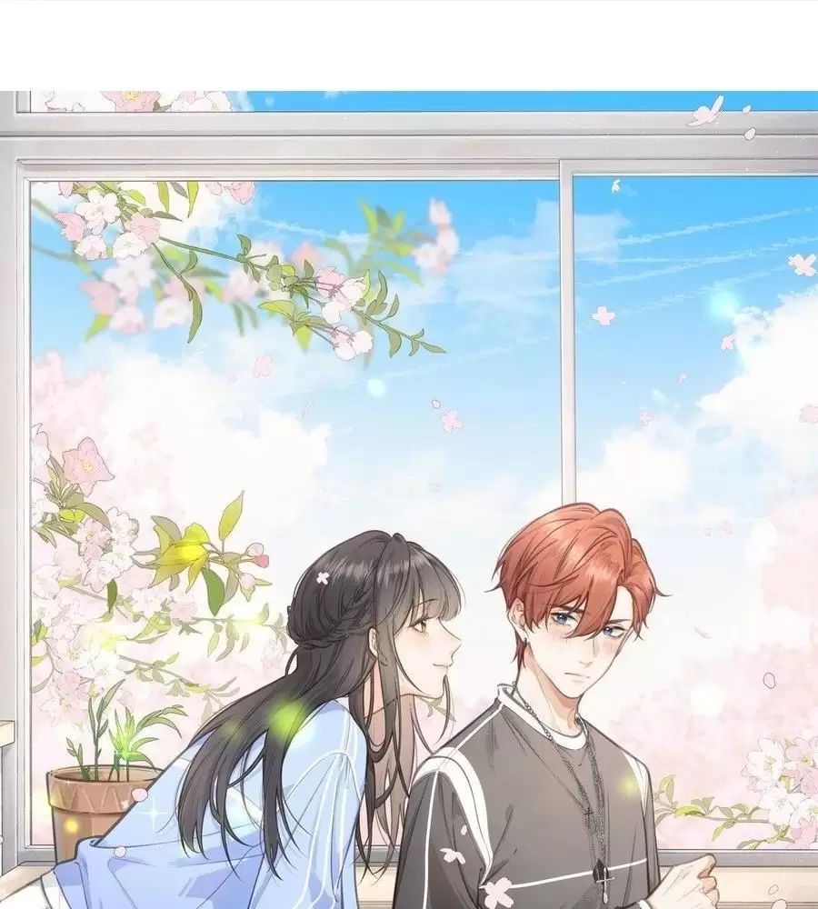 Tổng Tài Đuổi Vợ Lại Khóc Lóc Cầu Xin Vợ Quay Lại - Chapter 67 - Page 4