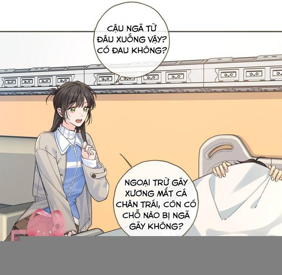 Tổng Tài Đuổi Vợ Lại Khóc Lóc Cầu Xin Vợ Quay Lại - Chapter 80 - Page 13