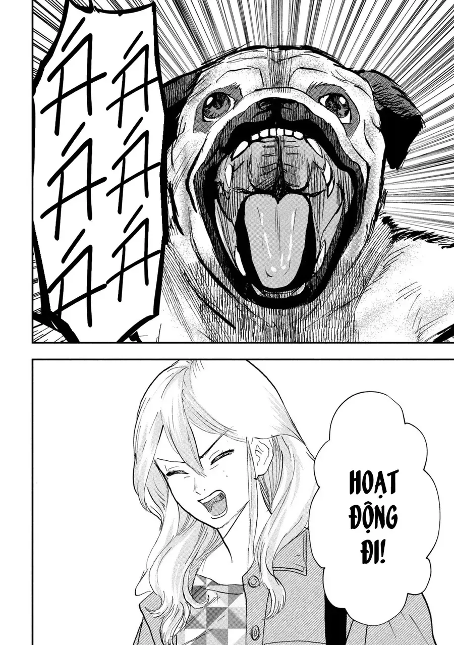 Innu - Chú Chó Bá Đạo - Chapter 13 - Page 17