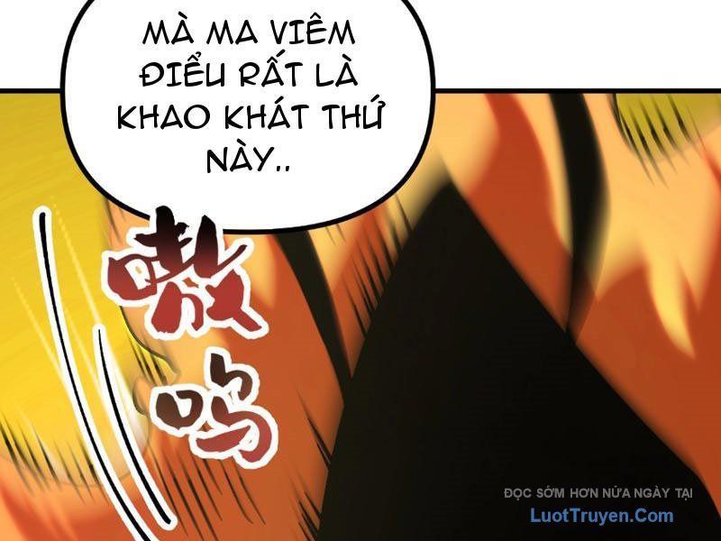 Toàn Cầu Ngự Thú: Ta Có Thể Thấy Lộ Tuyến Tiến Hoá - Chapter 47 - Page 112