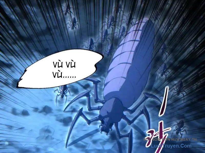 Mạt Thế Trùng Sinh: Ta Dựa Vào Mở Rương Vấn Dỉnh Đỉnh Phong - Chapter 75 - Page 5