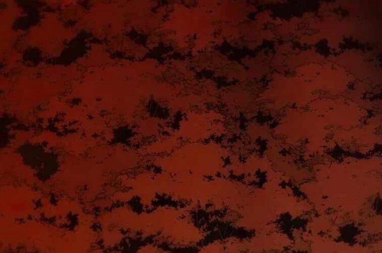 Huyền Thoại Diệt Thế Độc Long - Chapter 127 - Page 394