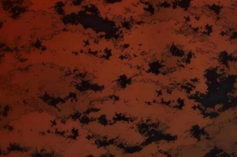 Huyền Thoại Diệt Thế Độc Long - Chapter 127 - Page 395