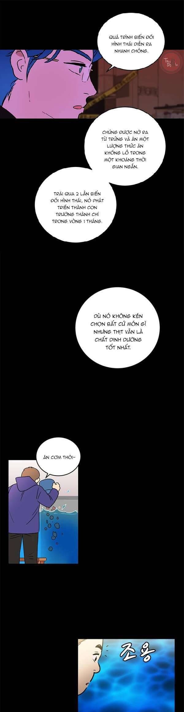 Cô Nàng Pháp Sư - Chapter 25 - Page 18