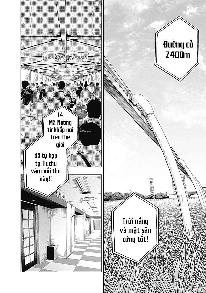 Uma Musume: Cinderella Gray - Chapter 51 - Page 3