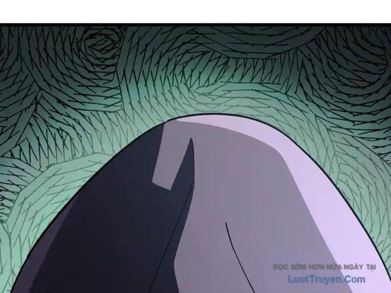 Dị Biến Giáng Lâm Nhân Gian: Kế Hoạch Thanh Trừ Người Chơi - Chapter 55 - Page 24