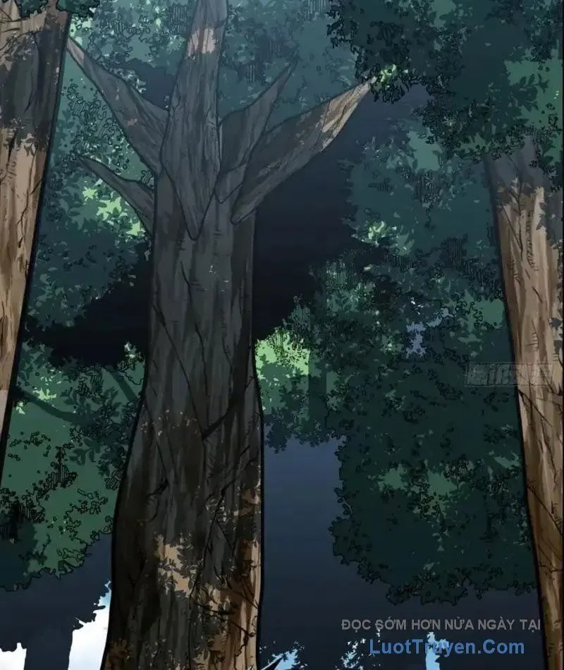 Mệnh Luân Chi Chủ! Khi Dị Biến Giáng Lâm Nhân Gian! - Chapter 182 - Page 5