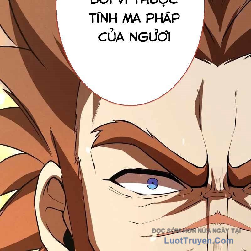 Anh Hùng Tái Xuất Học Viện - Chapter 30 - Page 30