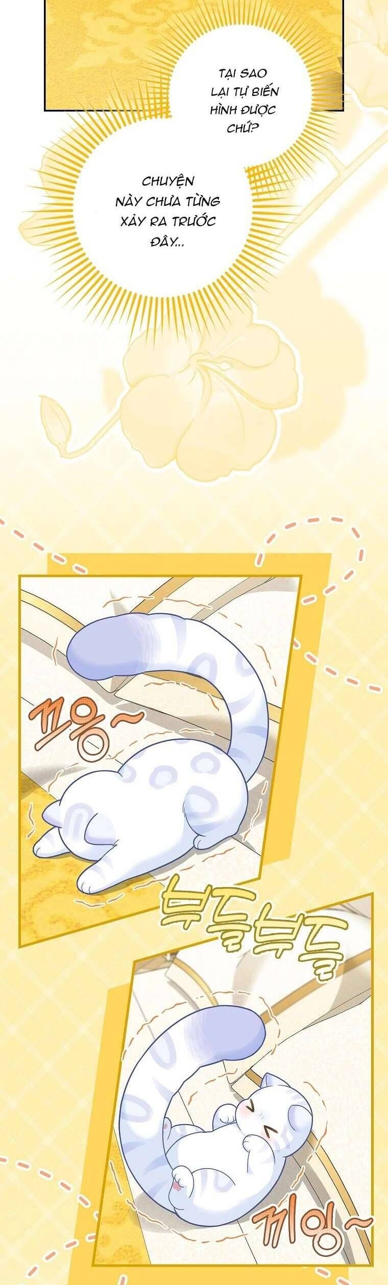 Bé Con Báo Tuyết Của Gia Tộc Báo Đen - Chapter 21 - Page 16