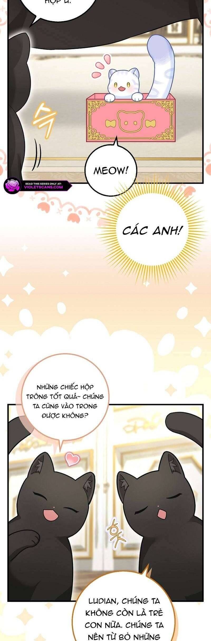 Bé Con Báo Tuyết Của Gia Tộc Báo Đen - Chapter 26 - Page 6
