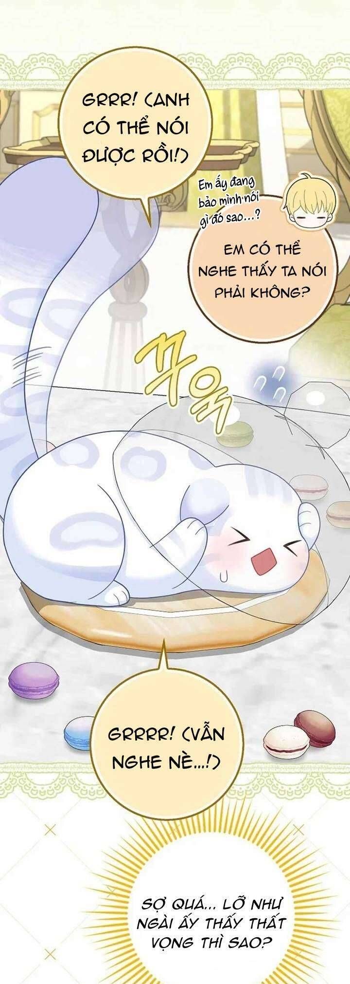 Bé Con Báo Tuyết Của Gia Tộc Báo Đen - Chapter 32 - Page 29