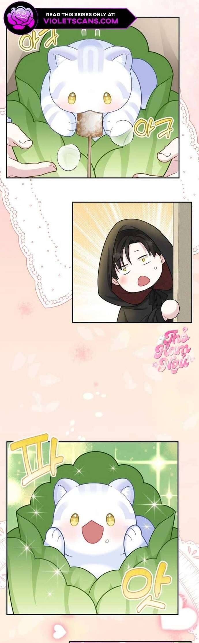 Bé Con Báo Tuyết Của Gia Tộc Báo Đen - Chapter 34 - Page 19