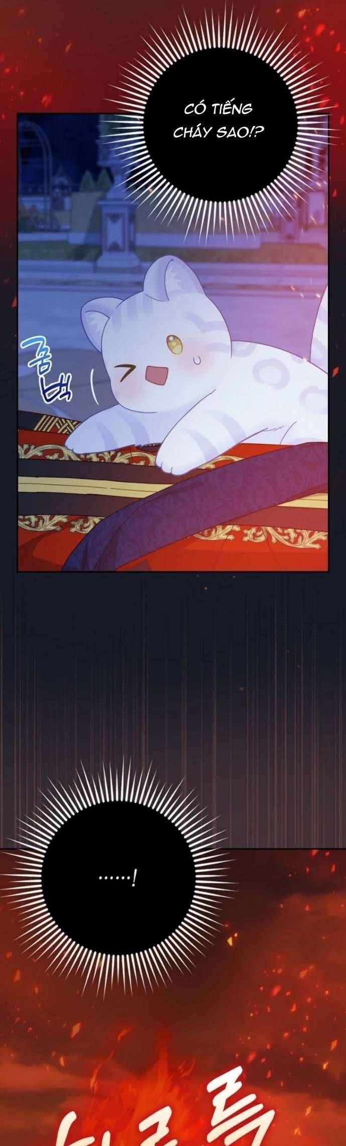 Bé Con Báo Tuyết Của Gia Tộc Báo Đen - Chapter 41 - Page 9