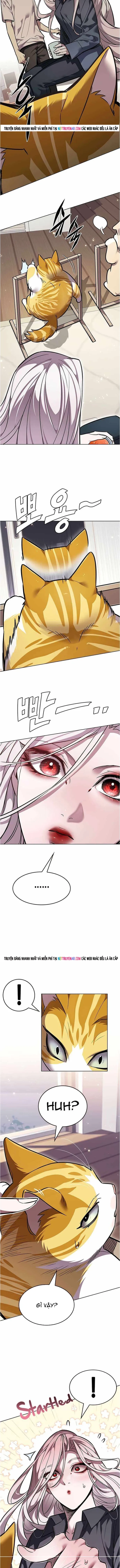 Hoá Thân Thành Mèo - Chapter 376 - Page 15