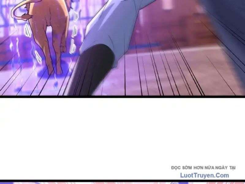 Tiên Làm Nô Thần Là Bộc, Đại Đế Làm Chó Giữ Nhà - Chapter 78 - Page 23