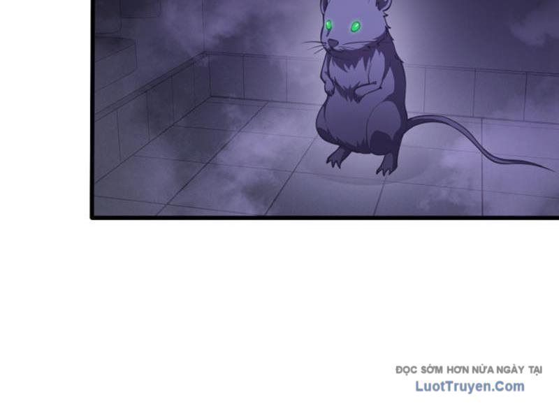 Ta Học Trảm Thần Trong Bệnh Viện Tâm Thần - Chapter 294 - Page 51