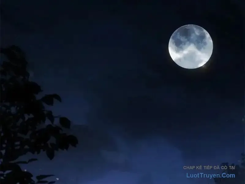 Giáo Chủ Ma Giáo Vụng Trộm Xem Ta Tu Luyện - Chapter 37 - Page 37