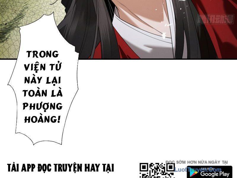 Gặp Mạnh Thì Càng Mạnh, Tu Vi Của Ta Không Giới Hạn - Chapter 90 - Page 114