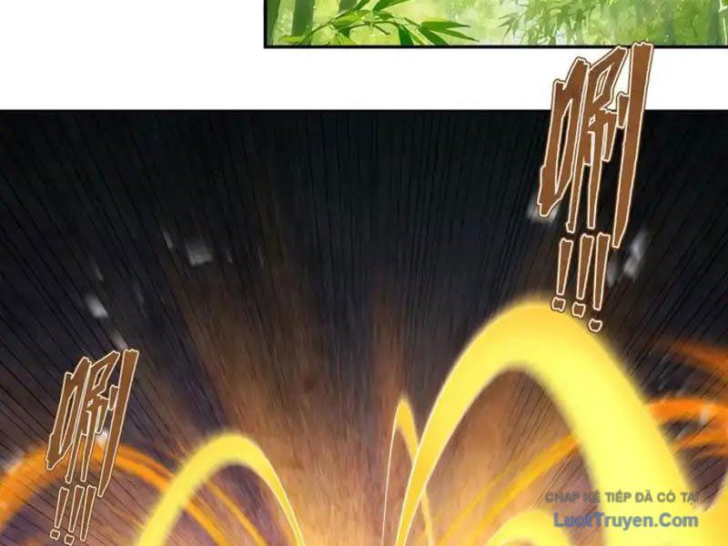 Gặp Mạnh Thì Càng Mạnh, Tu Vi Của Ta Không Giới Hạn - Chapter 91 - Page 66