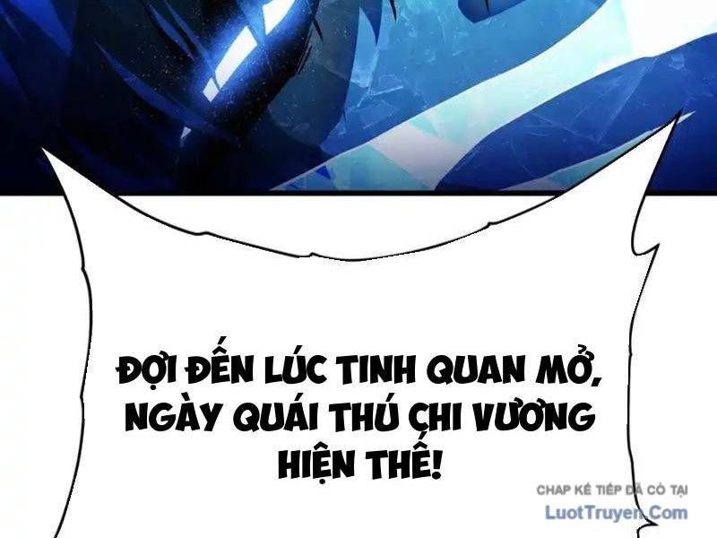 Cao Võ Tiến Hóa: Bắt Đầu Thức Tỉnh Quái Thú Chi Vương - Chapter 77 - Page 24