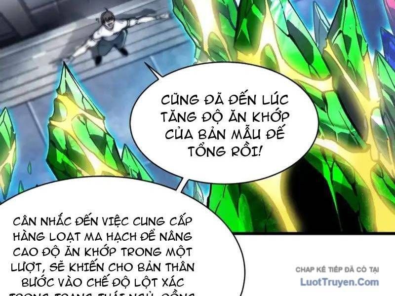 Cao Võ Tiến Hóa: Bắt Đầu Thức Tỉnh Quái Thú Chi Vương - Chapter 77 - Page 6