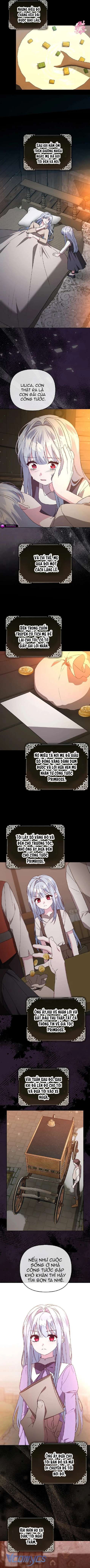 Ác Nữ Muốn Che Giấu Sự Giàu Sang - Chapter 43 - Page 5
