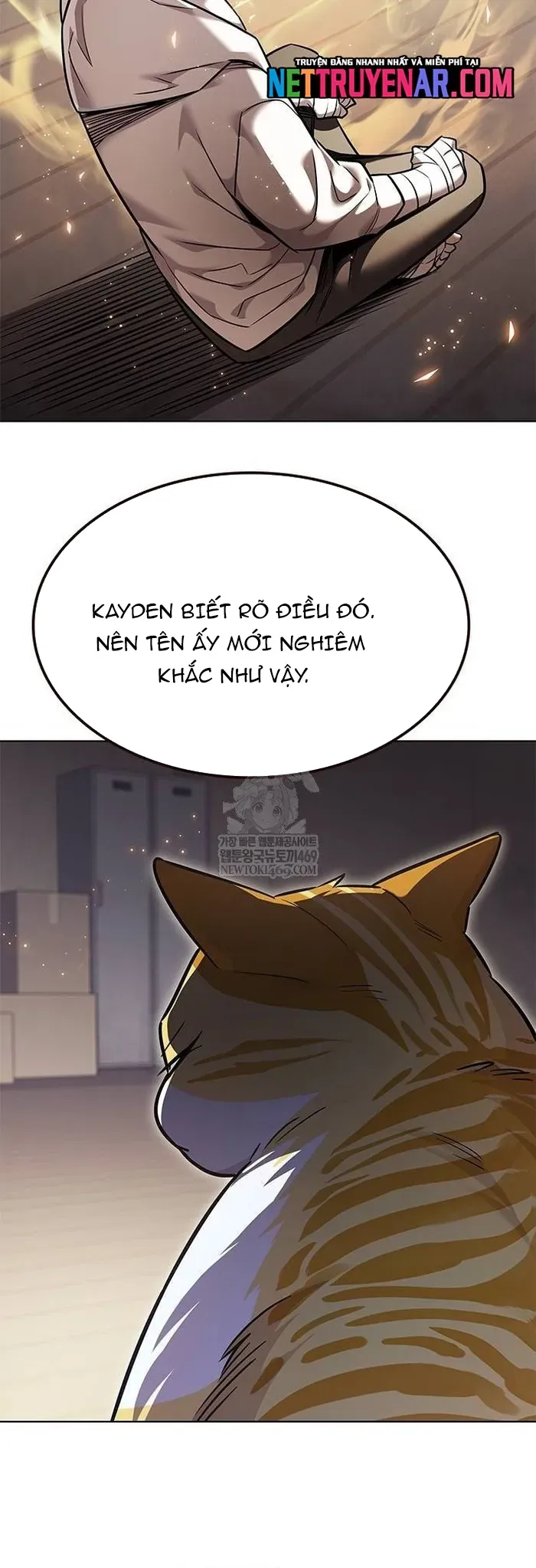 Hoá Thân Thành Mèo - Chapter 377 - Page 13