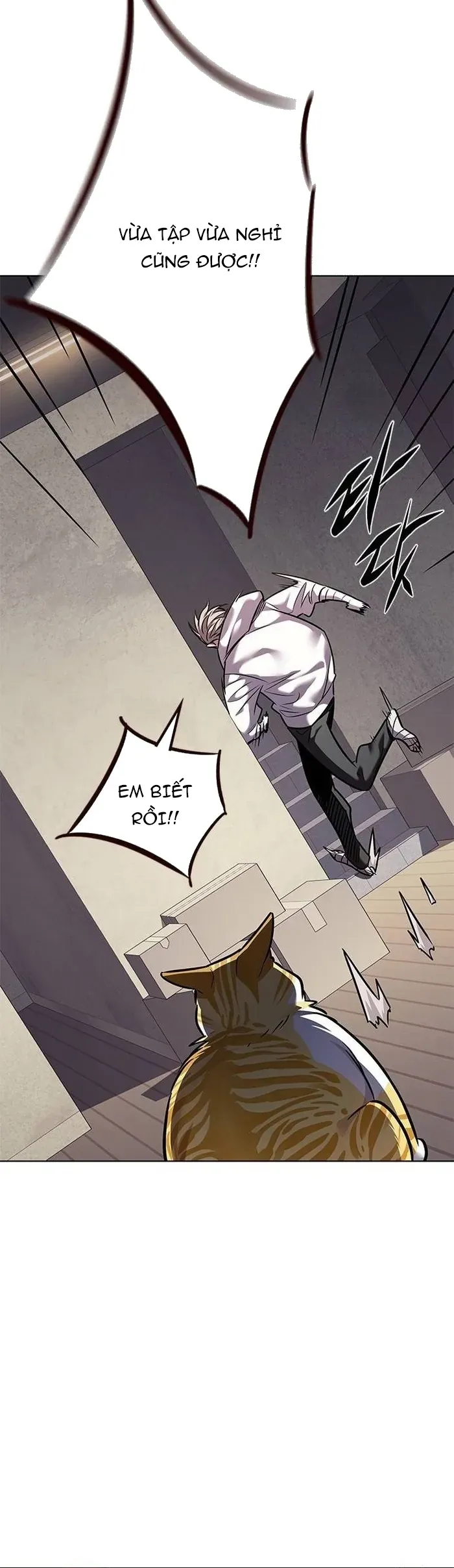 Hoá Thân Thành Mèo - Chapter 377 - Page 15