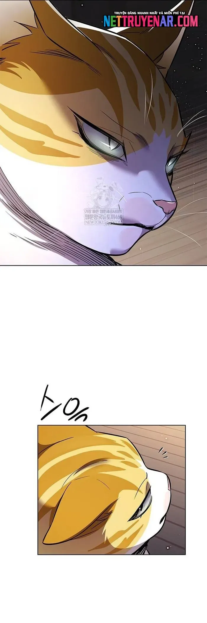 Hoá Thân Thành Mèo - Chapter 377 - Page 16