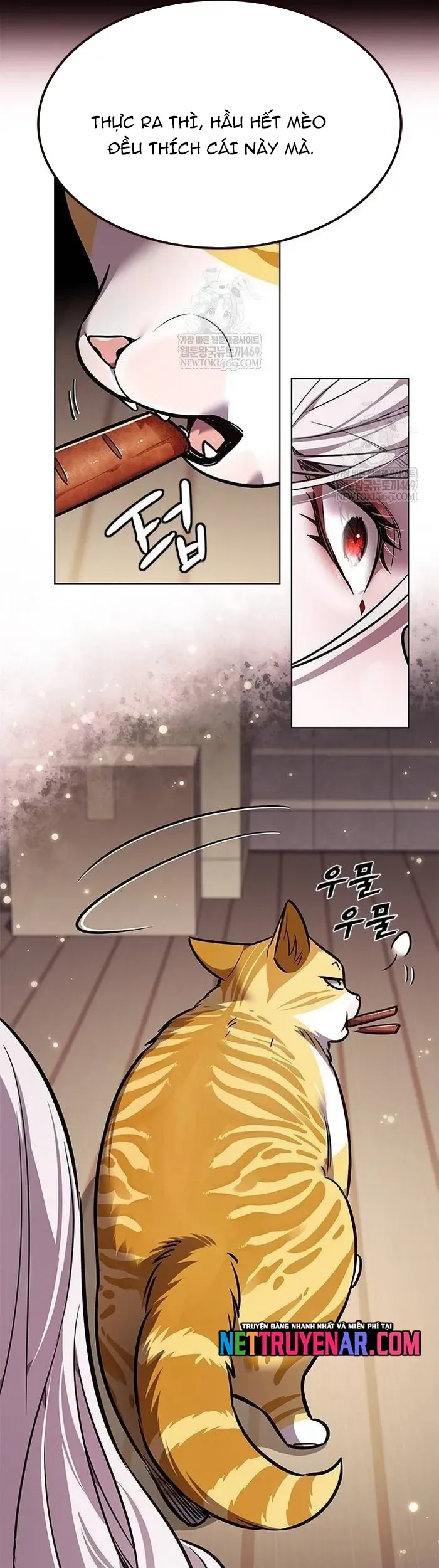Hoá Thân Thành Mèo - Chapter 377 - Page 22