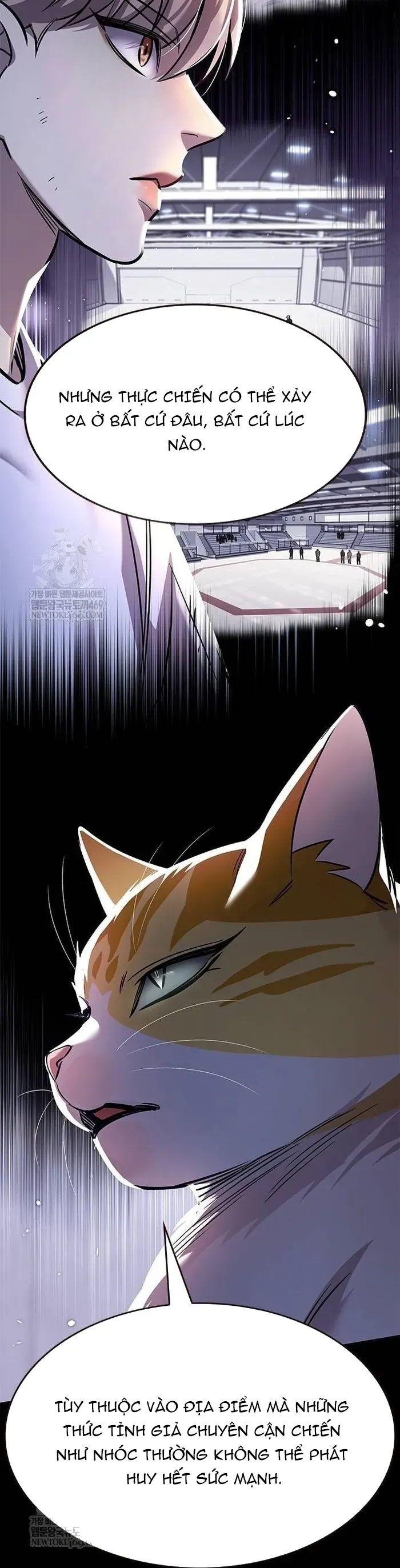 Hoá Thân Thành Mèo - Chapter 377 - Page 34