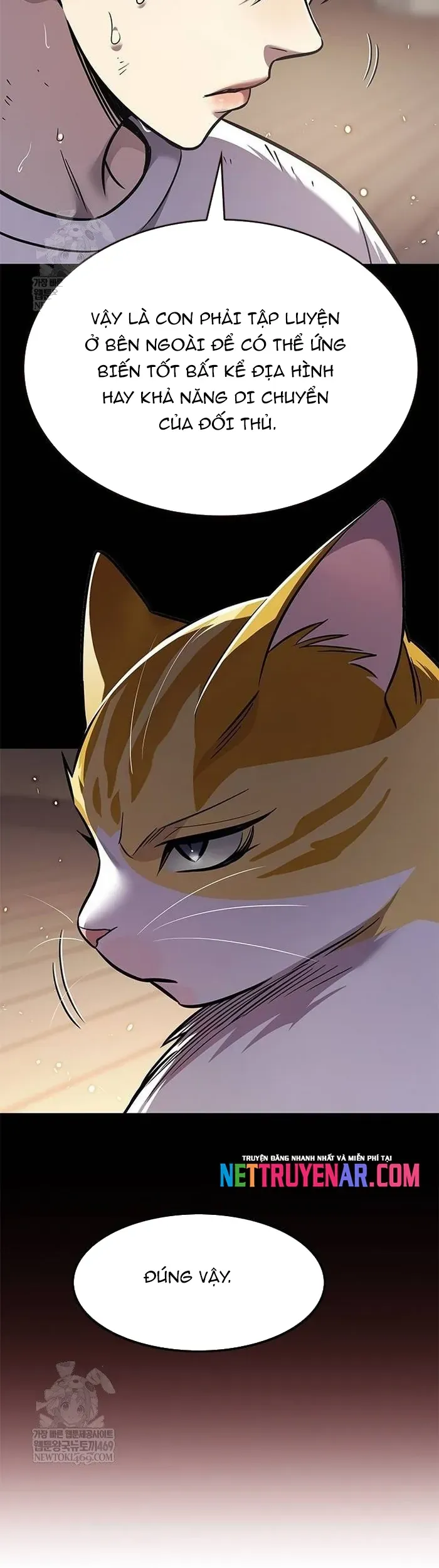 Hoá Thân Thành Mèo - Chapter 377 - Page 36