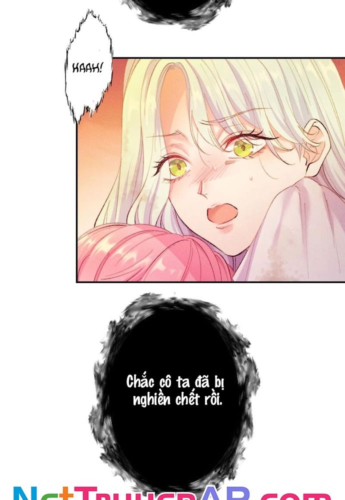 Từ Tiểu Thư Bị Lãng Quên Đến Người Được Hoàng Gia Sủng Ái - Chapter 2 - Page 35