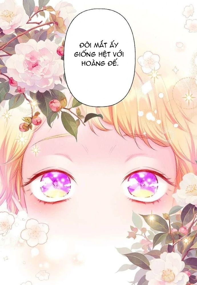 Từ Tiểu Thư Bị Lãng Quên Đến Người Được Hoàng Gia Sủng Ái - Chapter 4 - Page 27