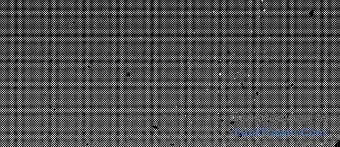 Voodoo Slam - Chapter 1.5 - Page 160