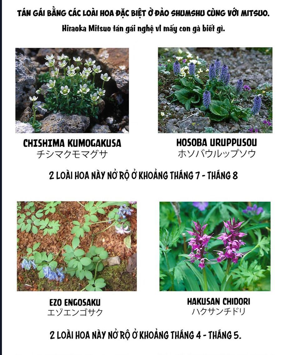 Anh Hùng Nơi Tận Cùng Phương Bắc. - Chapter 4 - Page 28