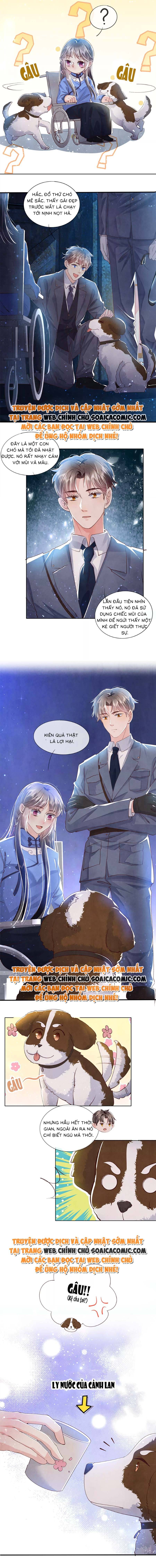 Mùa 2-Tôi Có Ông Chồng Hay Ghen - Chapter 62 - Page 4