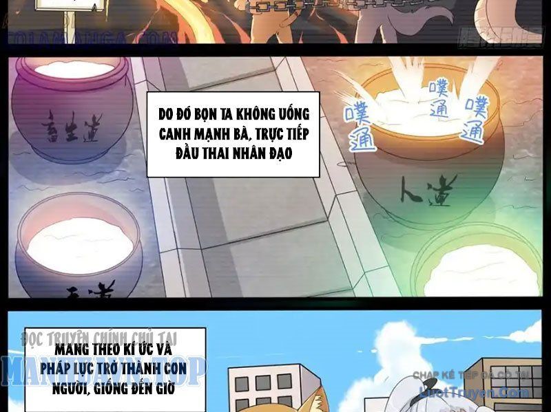 Tôi Không Phải Là Đường Tam Tạng - Chapter 42 - Page 7