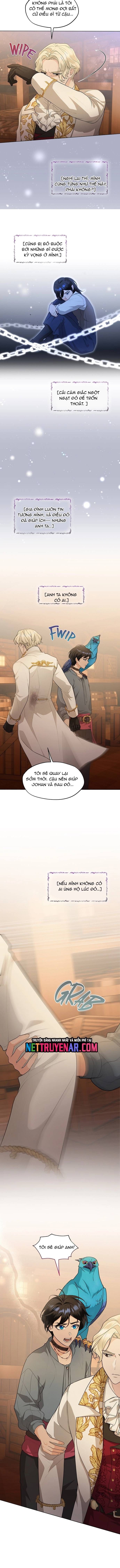 Hải Âu & Sói Hoang - Chapter 56 - Page 11