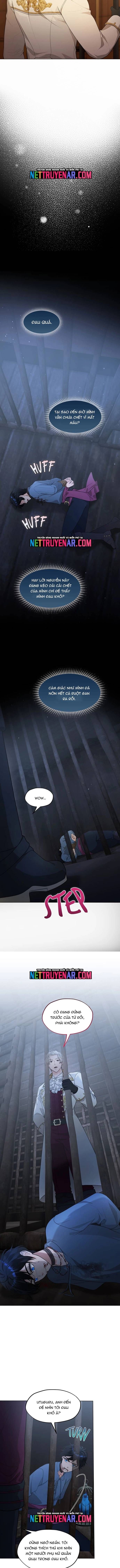 Hải Âu & Sói Hoang - Chapter 57 - Page 12