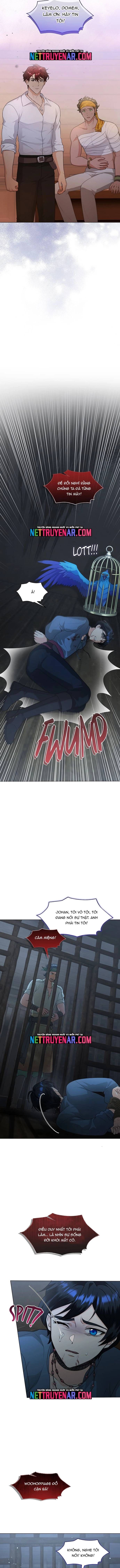 Hải Âu & Sói Hoang - Chapter 57 - Page 4