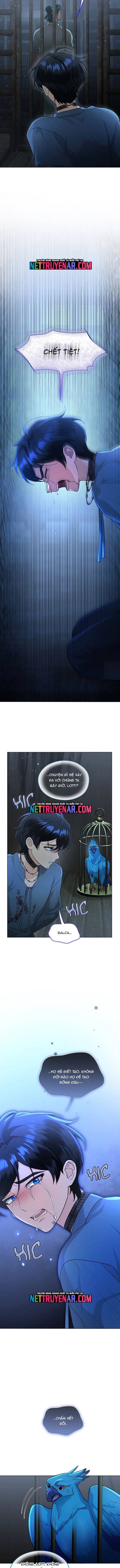 Hải Âu & Sói Hoang - Chapter 57 - Page 5