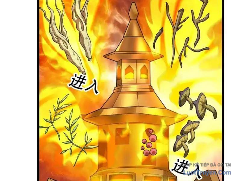 Tiên Làm Nô Thần Là Bộc, Đại Đế Làm Chó Giữ Nhà - Chapter 79 - Page 29