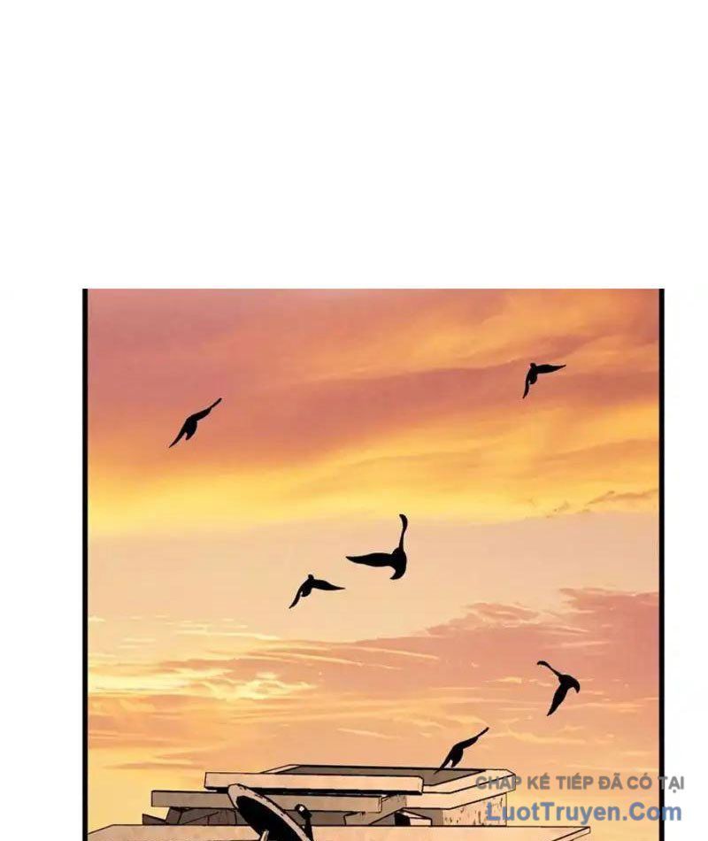 Đặc Chủng Trùng Sinh Về Thời Trung Học - Chapter 18 - Page 33