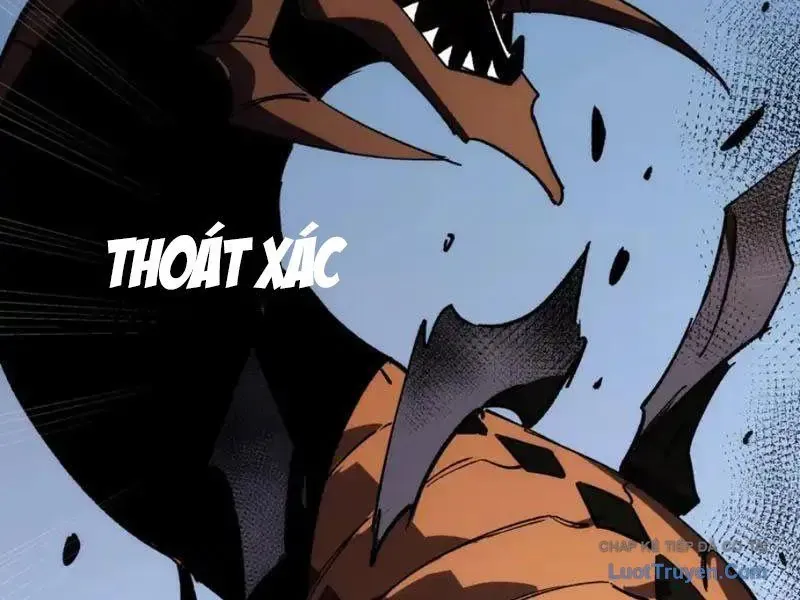 Tai Ách Giáng Lâm: Ta Tiến Hóa Thành Tinh Hồng Đế Vương - Chapter 29 - Page 70