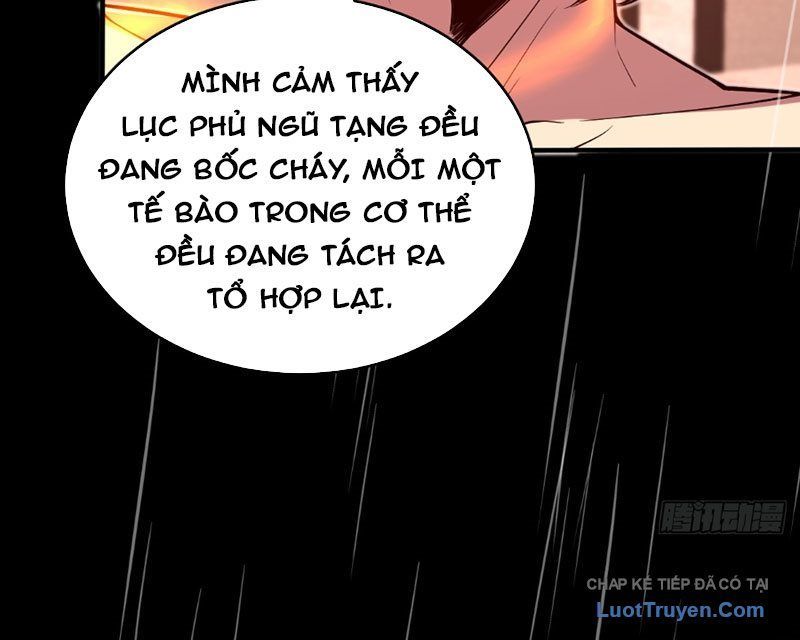 Người Khác Luyện Cấp Ta Tu Tiên, Tới Đại Thừa Kỳ Thì Rời Núi - Chapter 21 - Page 54