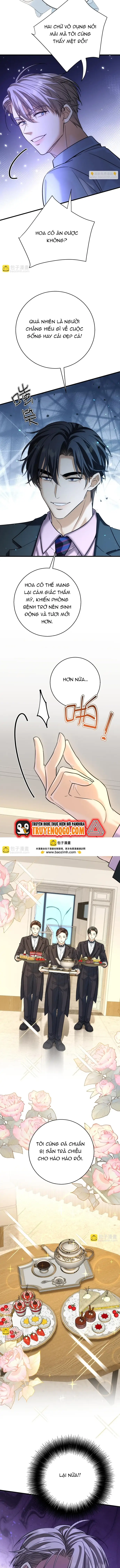 Vô Tình Kết Hôn Với Tổng Tài - Chapter 37 - Page 6