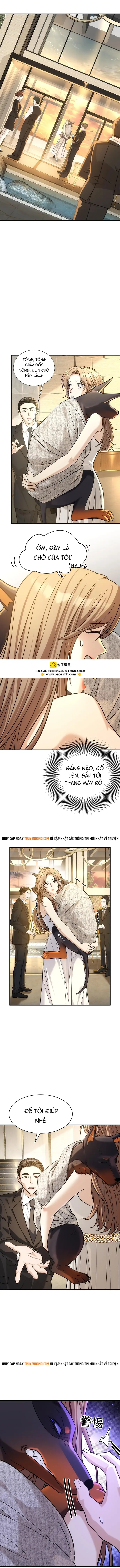 Vô Tình Kết Hôn Với Tổng Tài - Chapter 42 - Page 5