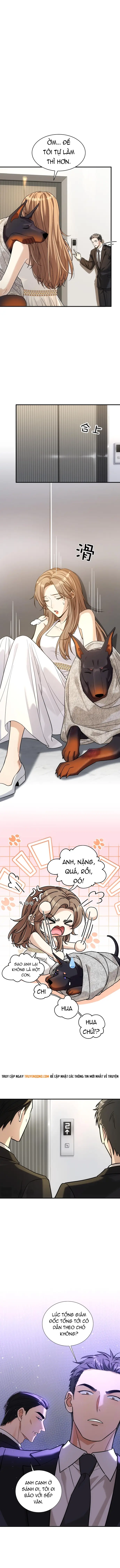 Vô Tình Kết Hôn Với Tổng Tài - Chapter 42 - Page 6